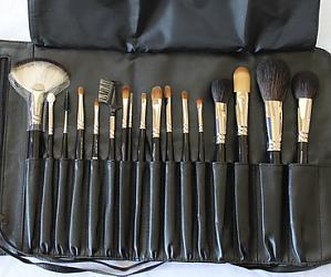 Professional Brush Kit