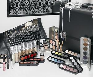 Professional Makeup Artist Kit